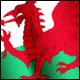 3D Wales Flag