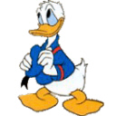 Donald Duck 16