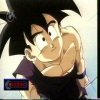 Gohan - Victory Chilling